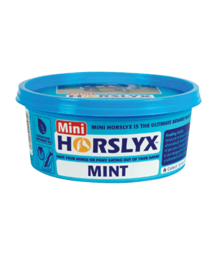 Mini Mint Horslyx 650g